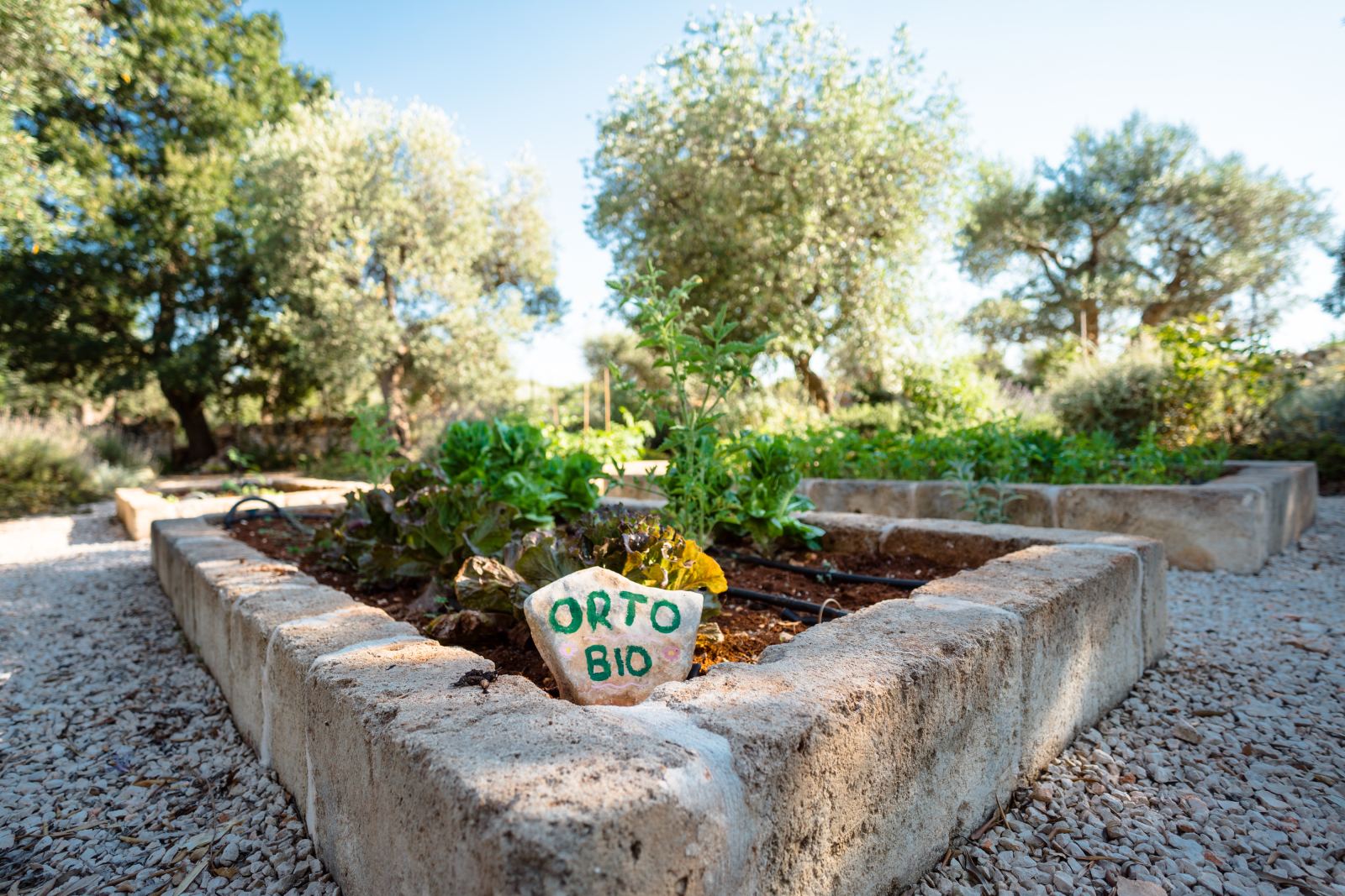 Giardini e orti
